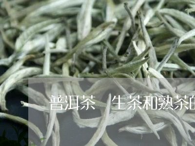 普洱茶 生茶和熟茶的区别在哪里/2023060220705